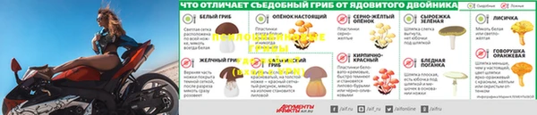 spice Волосово