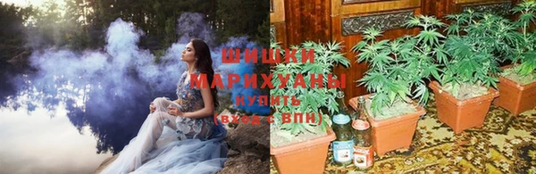 сатива Верхнеуральск