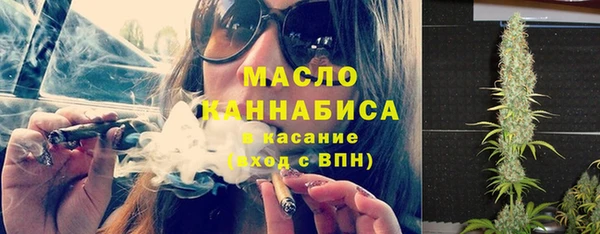 гидра Верхний Тагил