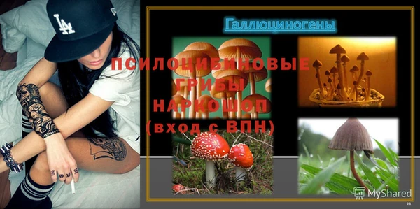 гидра Верхний Тагил