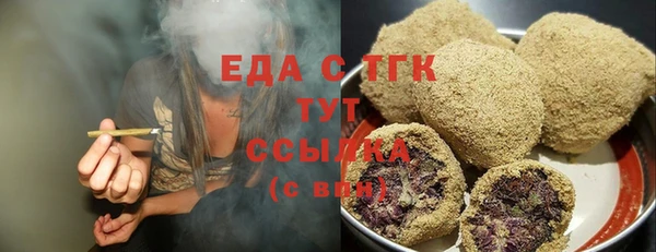 гидра Верхний Тагил