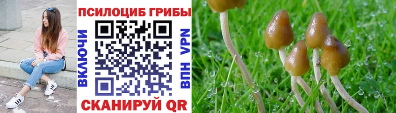 это официальный сайт  где продают наркотики  Заозёрный  Псилоцибиновые грибы GOLDEN TEACHER 